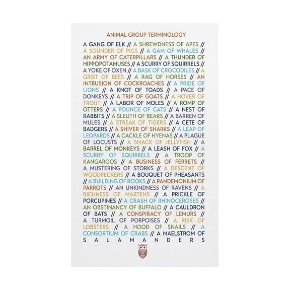 Collective Nouns for Animals Poster Animal Group Names Chart A Group of Crows is a Murder Educational Wall Art for Home School Decor