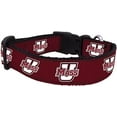 thumbnail image 1 of College Dog Collar (Medium, UMASS), 1 of 1