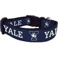thumbnail image 1 of College Dog Collar (Medium, Yale), 1 of 1