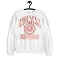 thumbnail image 1 of College Indiana University SweatHoodie s Vintage Hoodie , for men & women, up to size 5XL. Expressive Design Tee-TH53445, 1 of 2