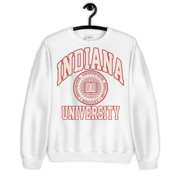 College Indiana University SweatHoodie s Vintage Hoodie , for men & women, up to size 5XL. Expressive Design Tee-TH53445