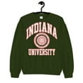 thumbnail image 1 of College Indiana University SweatHoodie s Vintage Hoodie , for men & women, up to size 5XL. Expressive Design Tee-TH53445, 1 of 2