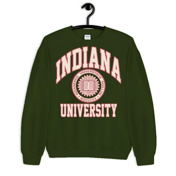 College Indiana University SweatHoodie s Vintage Hoodie , for men & women, up to size 5XL. Expressive Design Tee-TH53445