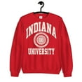 thumbnail image 1 of College Indiana University SweatHoodie s Vintage Hoodie , for men & women, up to size 5XL. Expressive Design Tee-TH53445, 1 of 2