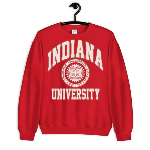 College Indiana University SweatHoodie s Vintage Hoodie , for men & women, up to size 5XL. Expressive Design Tee-TH53445
