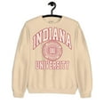 thumbnail image 1 of College Indiana University SweatHoodie s Vintage Hoodie , for men & women, up to size 5XL. Expressive Design Tee-TH53445, 1 of 2