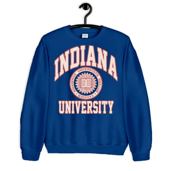 College Indiana University SweatHoodie s Vintage Hoodie , for men & women, up to size 5XL. Expressive Design Tee-TH53445