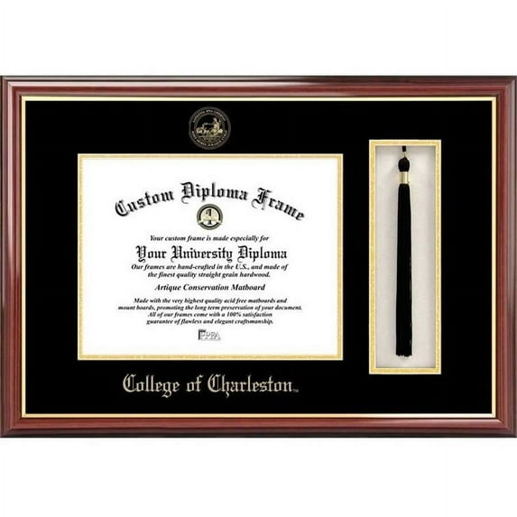 College of Charleston 20" x 16" Tassel Box and Diploma Frame