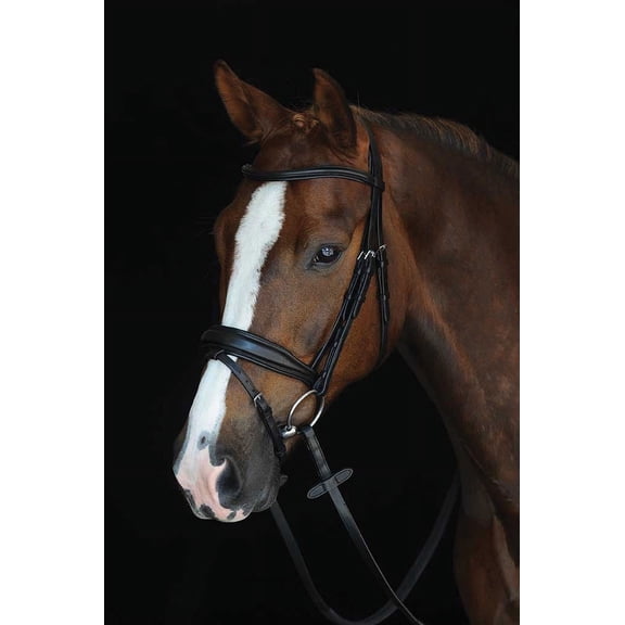 Collegiate Mono Crown Padded Raised Flash Bridle Color: Black Size: Cob