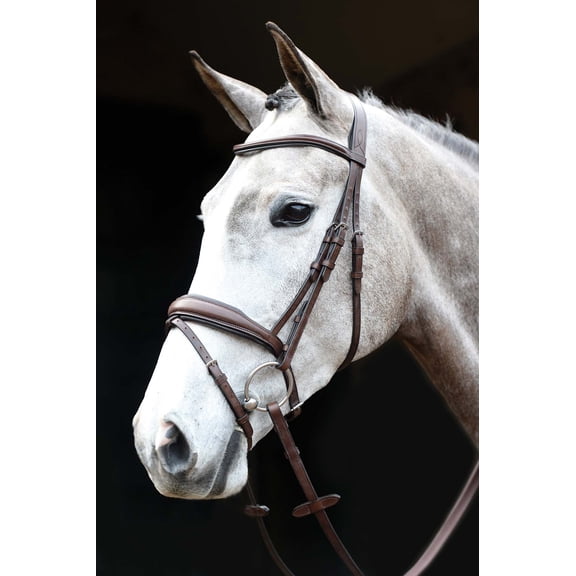 Collegiate Mono Crown Padded Raised Flash Bridle Color: Brown Size: Oversized
