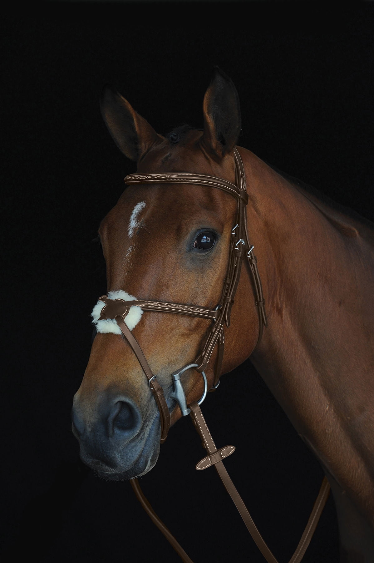 Weatherbeeta Collegiate Mono Crown Figure 8 Bridle - Thumbnail 2