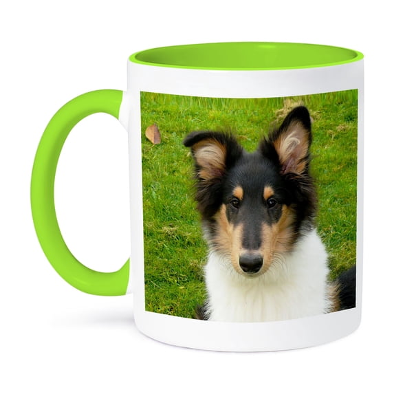 3dRose, Collie., 15oz Two-Tone Green Mug