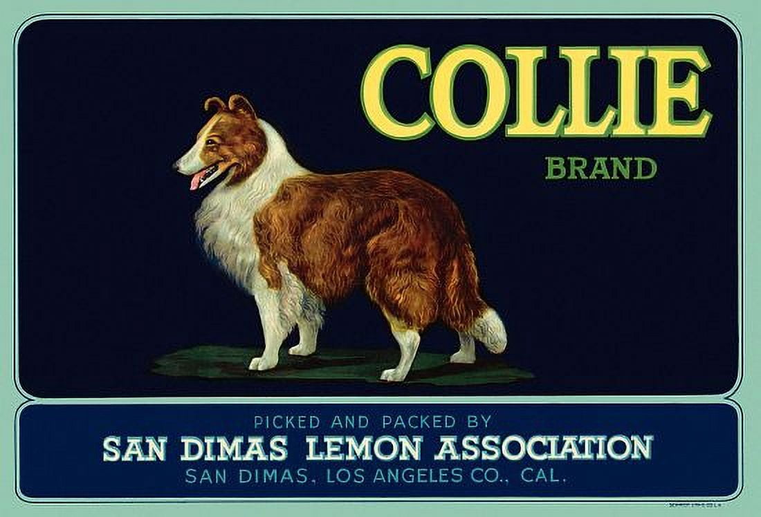 Collie Brand Lemons vintage advertising Canvas Art - (24 x 36)