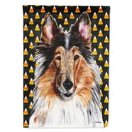 Caroline S Treasures Bb1799gf Halloween Border Collie Jardin
