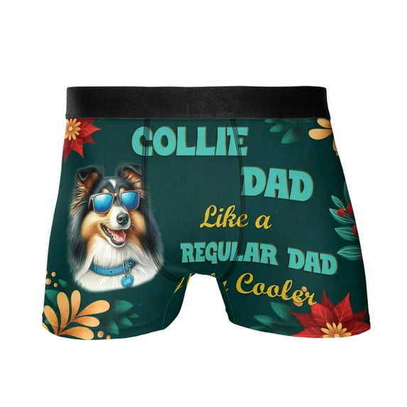 Collie Dad Like a Regular Dad Only Cooler Happy Father's Day All Over Print Boxer Briefs Underwear for Men Dad Collie Dog Lover Gifts Idea - 02007