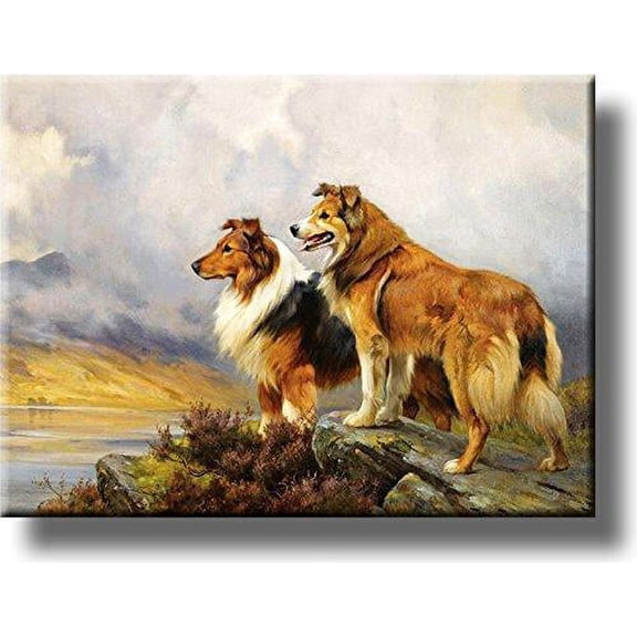 Collie Dogs on a Mountain Picture on Stretched Canvas, Wall Art Décor, Ready to Hang!