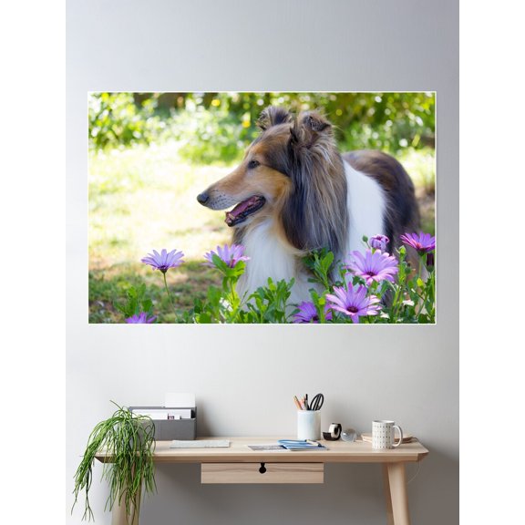 Collie In The Garden Poster Wall Art, Modern Wall Decor For Living Room Bedroom, 16x24 UNFRAMED