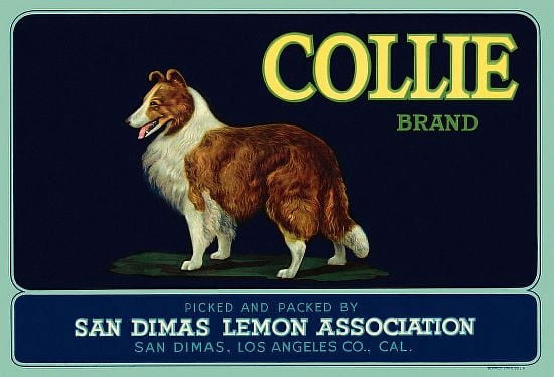 Collie Los Angeles CA Label Canvas Art - (24 x 36)