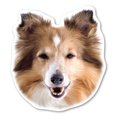 thumbnail image 1 of Collie Magnet, 1 of 1