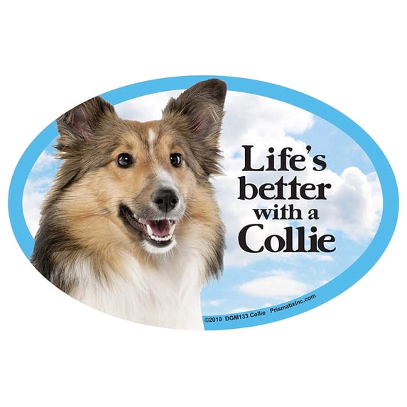 Collie Oval Dog Magnet for Cars