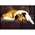 thumbnail image 1 of Collie by Tanya & Craig Amberson Indoor or Outdoor Mat- 18 x 27, 1 of 1