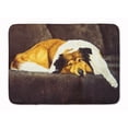 thumbnail image 1 of Collie by Tanya and Craig Amberson Machine Washable Memory Foam Mat, 1 of 4
