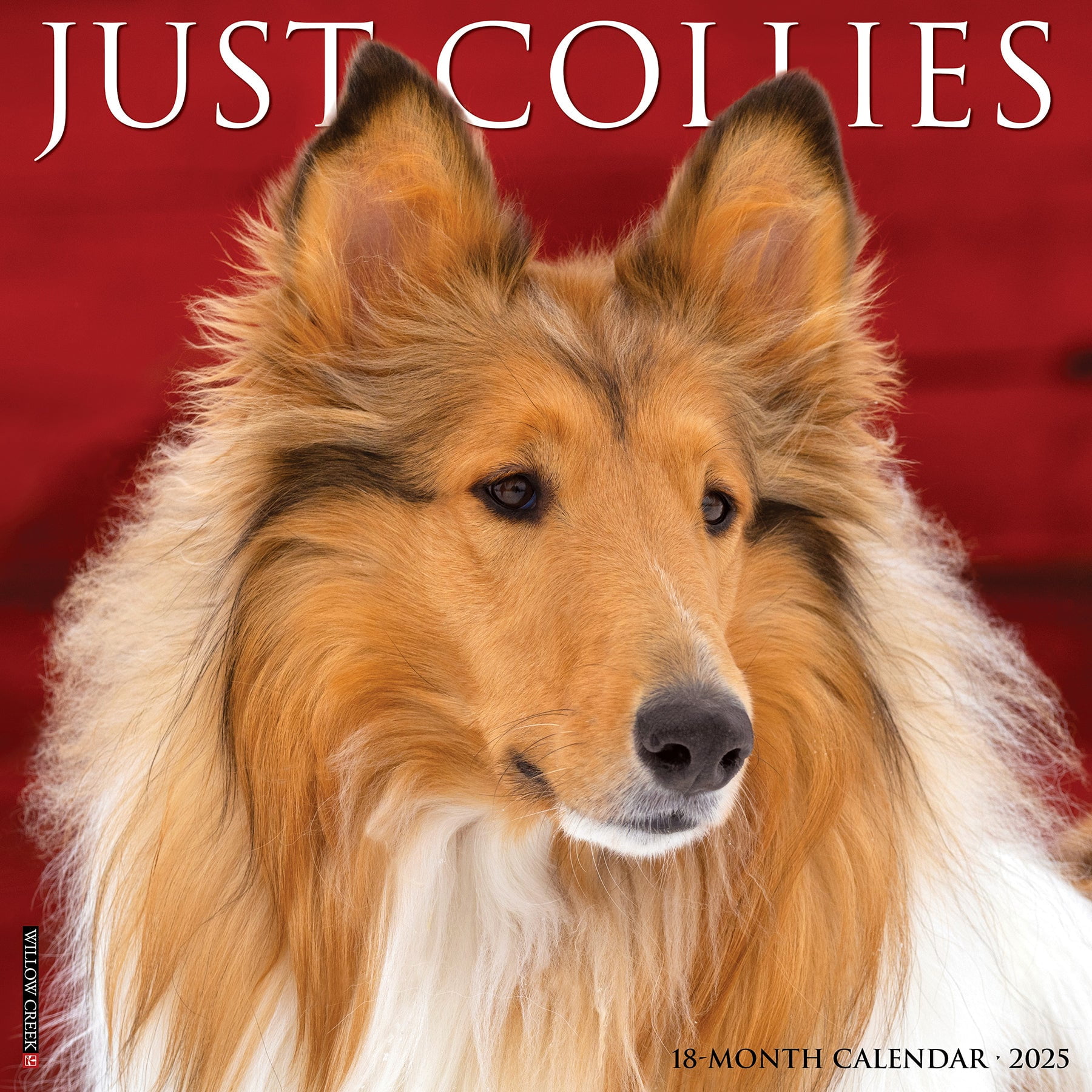 Collies 2025 Wall Calendar Walmart Com Collies 2025 Wall Calendar 9781549242519 04706aa7 595a 42f9 B484 Ef1371ec4756.a3e360fc2b0cb3bbbd7277c2b99e54a0