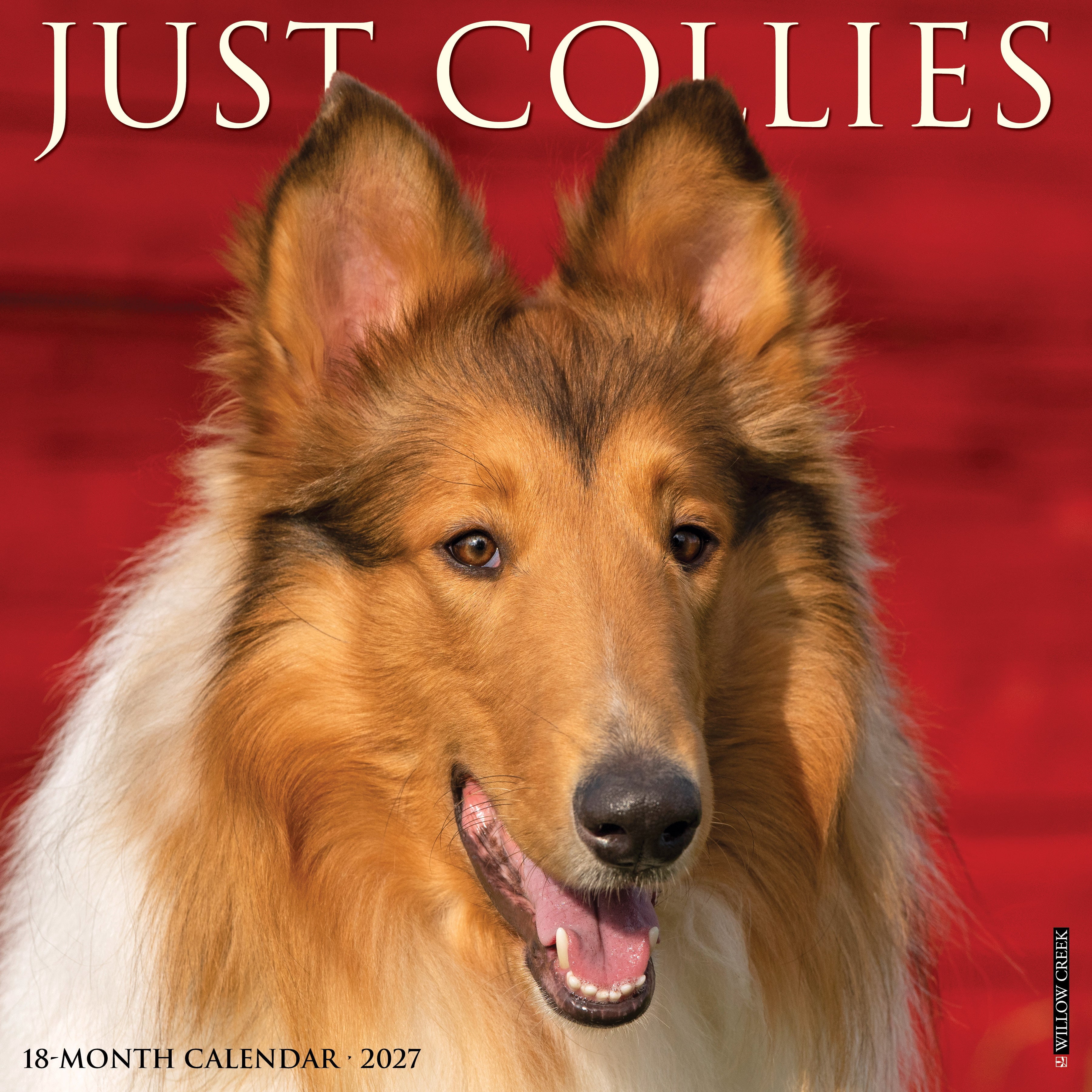 Willow Creek Press, Collies 2027 Wall Calendar