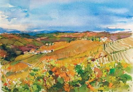 Colline Astigiane Canvas Art - Tino Cedro (20 x 28)