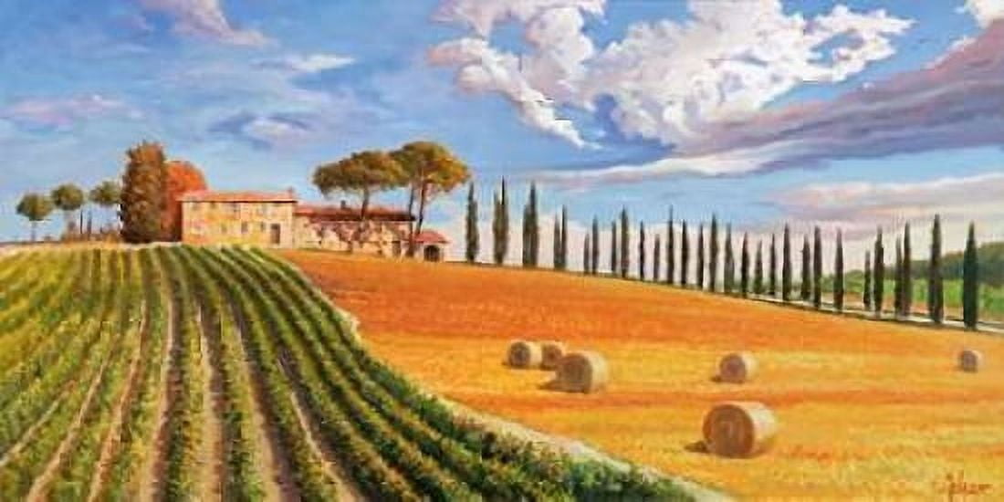 Colline toscane Canvas Art - Adriano Galasso (10 x 20)