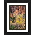 thumbnail image 1 of Collins, Ann 11x14 Black Ornate Wood Framed with Double Matting Museum Art Print Titled - Utah-Zion National Park-Autumn color high above the canyon, 1 of 4