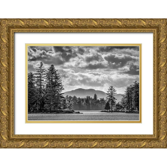 Collins, Ann 14x11 Gold Ornate Wood Framed with Double Matting Museum Art Print Titled - USA-New York-Adirondacks Long Lake-late afternoon at Forked Lake