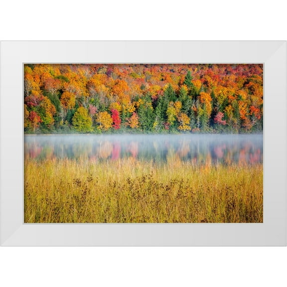 Collins, Ann 14x11 White Modern Wood Framed Museum Art Print Titled - USA-New York-Adirondacks Lake Placid-morning sun at Connery Pond