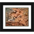 thumbnail image 1 of Collins, Ann 14x12 Black Ornate Wood Framed with Double Matting Museum Art Print Titled - Utah-Zion National Park-Bighorn sheep ram surveys his domain, 1 of 4