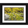thumbnail image 1 of Collins, Ann 18x13 Black Ornate Wood Framed with Double Matting Museum Art Print Titled - USA-New York-Adirondacks Long Lake-Raquette River flows behind autumn foliage, 1 of 4