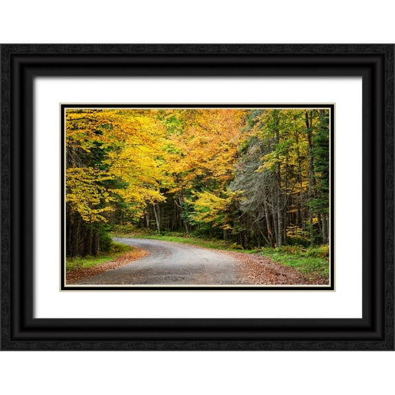 Collins, Ann 18x13 Black Ornate Wood Framed with Double Matting Museum Art Print Titled - USA-New York-Adirondacks Long Lake-foliage-covered road to Forked Lake
