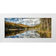 thumbnail image 1 of Collins, Ann 32x16 White Modern Wood Framed Museum Art Print Titled - USA-New York-Adirondacks Autumn afternoon at Raquette Brook, 1 of 4