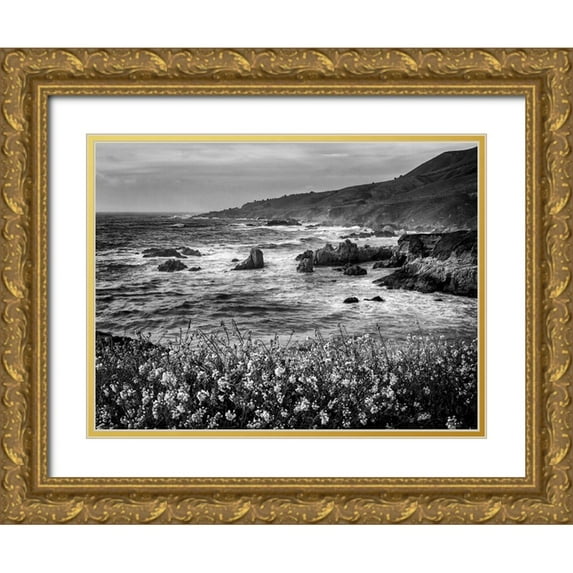 Collins, Ann 32x25 Gold Ornate Wood Framed with Double Matting Museum Art Print Titled - USA-California-Big Sur Dusk and mustard plants at Soberanes Cove