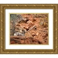 thumbnail image 1 of Collins, Ann 32x26 Gold Ornate Wood Framed with Double Matting Museum Art Print Titled - Utah-Zion National Park-Bighorn sheep ram surveys his domain, 1 of 4