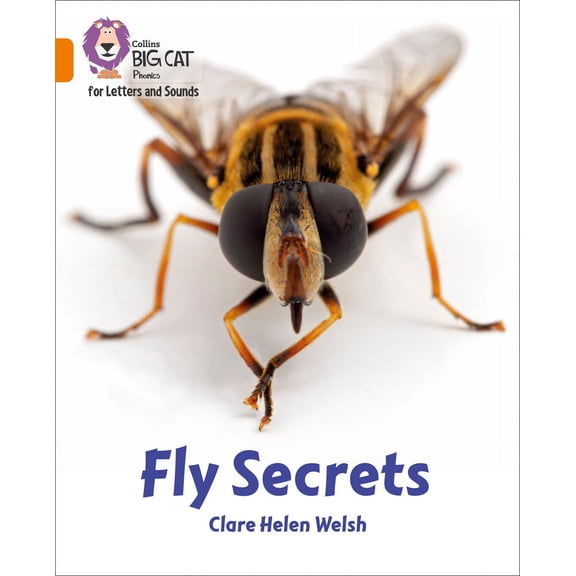 Collins Big Cat: Collins Big Cat Phonics for Letters and Sounds  Fly Secrets : Band 6/Orange (Paperback)