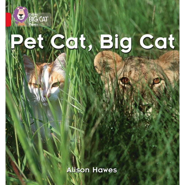 Collins Big Cat: Pet Cat, Big Cat : Red / Band 2A (Paperback)