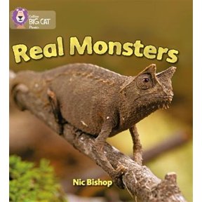 Pre-Owned Collins Big Cat Phonics: Real Monsters : Yellow / Band 3 (Paperback)
