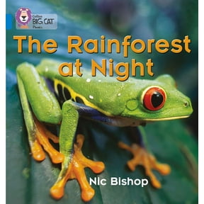 Collins Big Cat Phonics The Rainforest at Night: Blue / Band 4, (Paperback)