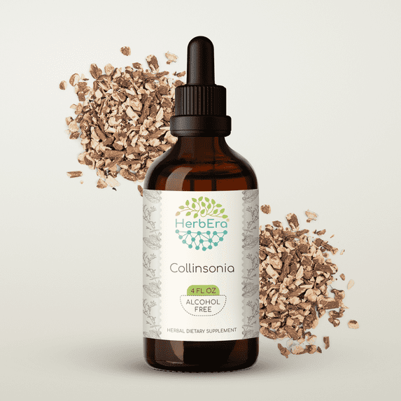 HerbEra Collinsonia Tincture, Herbal Dietary Supplement for Respiratory and Vascular Health Support, Stone Root (Collinsonia canadensis) Dried Root Extract, Natural, Alcohol-Free, Drops 4 oz