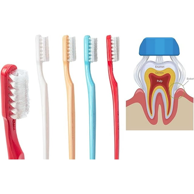 Collis Curve - 3 Sided Toothbrush Kids - Orthodontic Toothbrushes ...