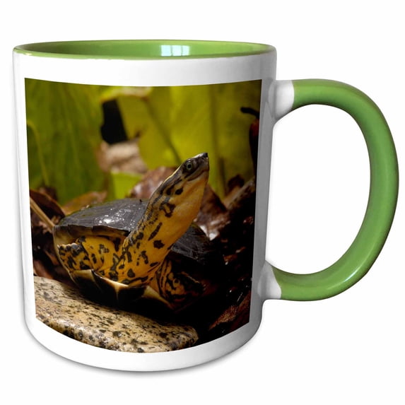 3drose, Colombian Wood Turtle, Amazon, Ecuador - Sa07 Pox0594 - Pete Oxford, 11oz Two-tone Green Mug