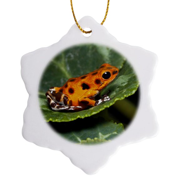 3drose, Colon Isle Dart Frog, Aka Strawberry Poison-dart Frog - Na02 Aje0415 - Adam Jones, 3 inch Snowflake Porcelain Ornament