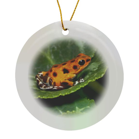 3drose, Colon Isle Dart Frog, Aka Strawberry Poison-dart Frog - Na02 Aje0415 - Adam Jones, Circle Porcelain Ornament