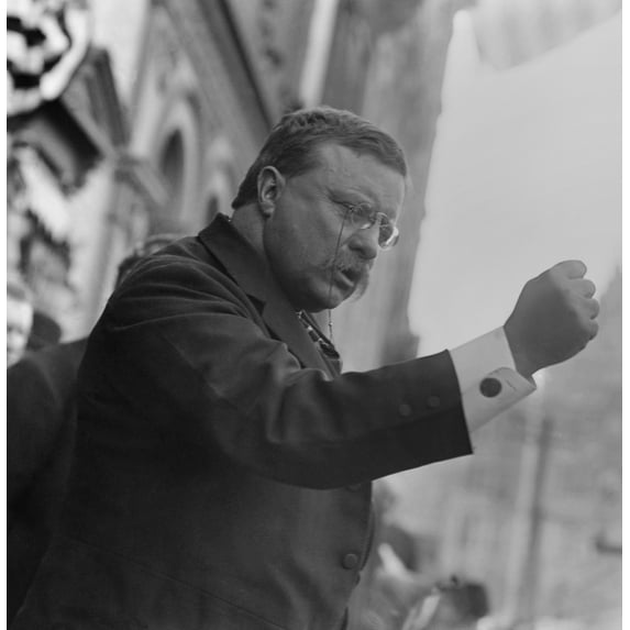 Colonel Theodore Roosevelt History (18 x 24)