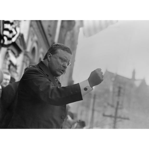Colonel Theodore Roosevelt History (24 x 18)
